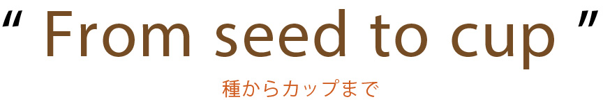 From seed to cup/種からカップまで